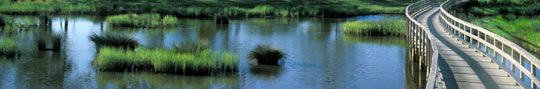 USA.South central states.Louisiana.Gray Plantation Golf Course © Louisiana Office of Tourism