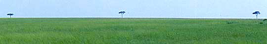 Kenya.Masai Mara © J.Boncompte
