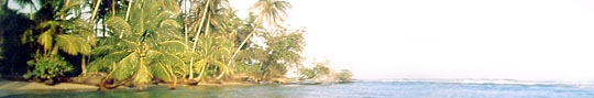 Panama © Carlos Gallarda