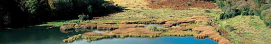 Sicily. Parco dei Nebrodi. © Regione Siciliana. Assessorato Turismo, Comunicazioni e Transporti.