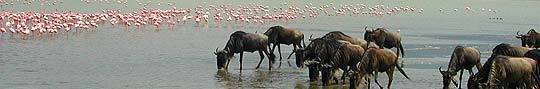 Tanzania © B. Huarte