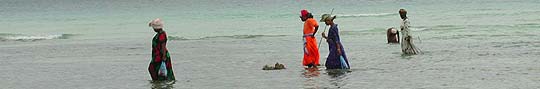 Tanzania © B. Huarte
