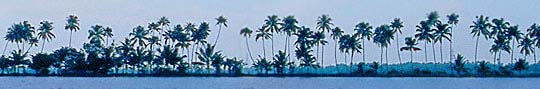 India. Back Waters. Kerala © J.Boncompte