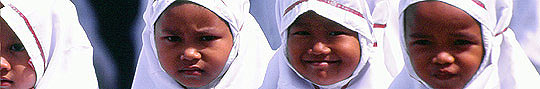 Indonesia.Sumatra © J.Molins