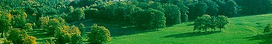 Germany.Reinhardsald nature conservation area © German National Tourist Board