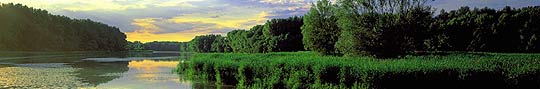Austria.Donau Auen National Park © Austrian National Tourist Office