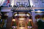 41 Hotel - Photo 6