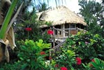 Little Palm Island - Photo 2