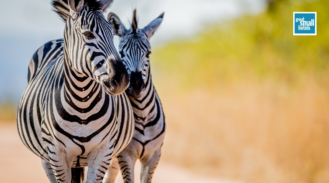 iSimangaliso Wetland Park
