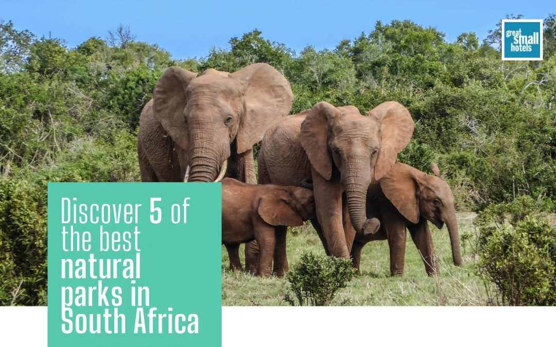 Discover 5 of the best natural parks in South Africa
