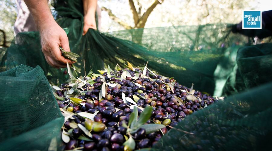 rutas-gastronómicas-España rutas-gastronómicas-España