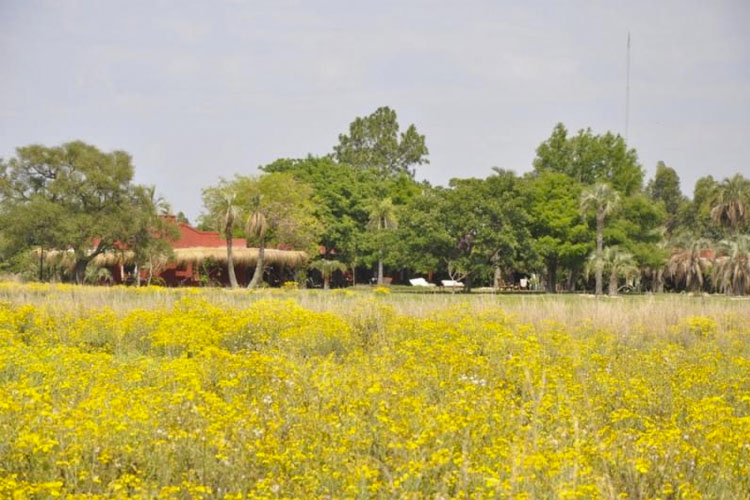 Exterior - Estancia Don Joaquín - Esquina