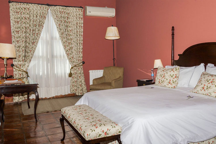 Double Room - Patios de Cafayate Wine Hotel - Cafayate