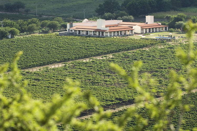 Exterior - Viñas de Cafayate Wine Resort - Cafayate