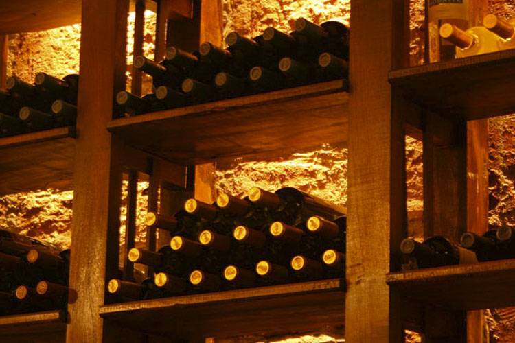 Cellar - Viñas de Cafayate Wine Resort - Cafayate
