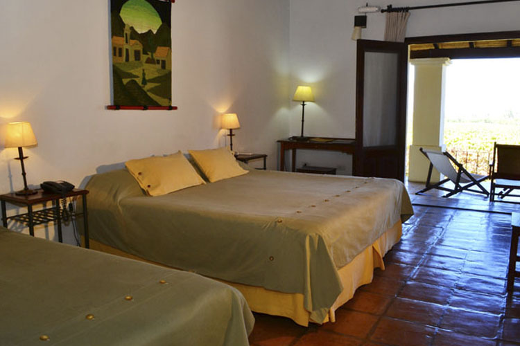 Standard Double Room - Viñas de Cafayate Wine Resort - Cafayate