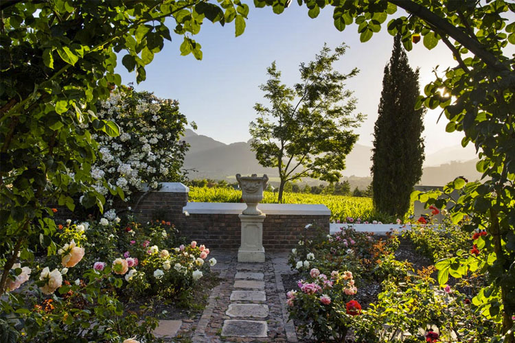 Garden - La Providence Guest House - Franschhoek