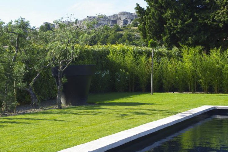 Pool - Bdesign & Spa - Paradou