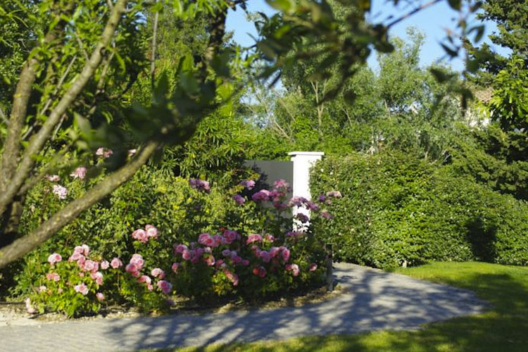 Garden - Bdesign & Spa - Paradou