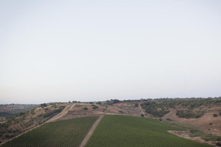 Exterior - Feudi del Pisciotto Wine Relais - Niscemi