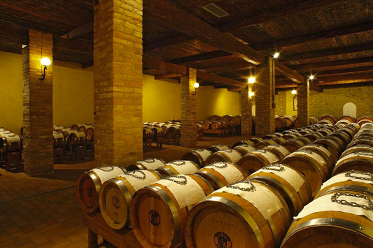 Cellar - Castello Banfi - Montalcino 