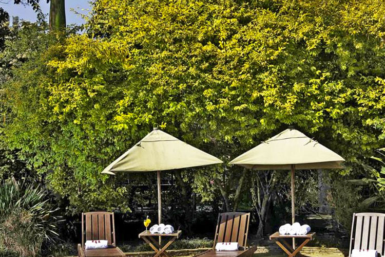 Exterior Common Area - Arusha Coffee Lodge - Arusha