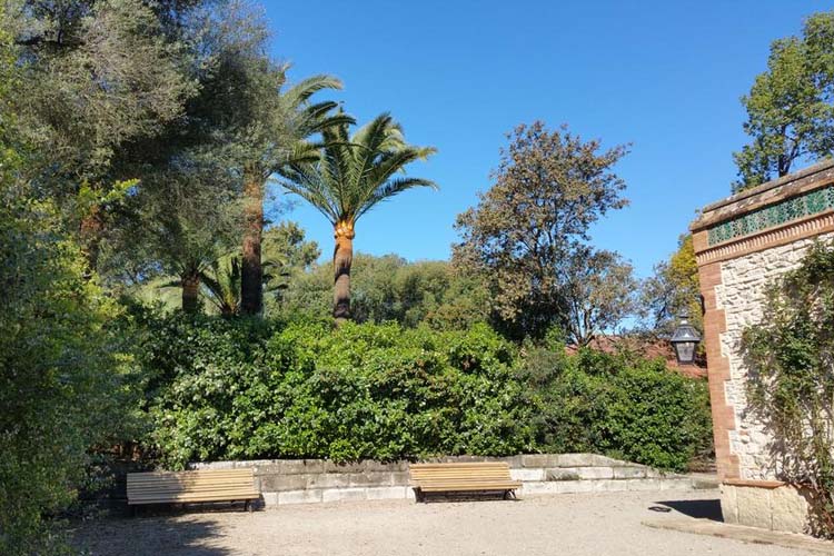 Garden - Viña de Alcántara - Cádiz