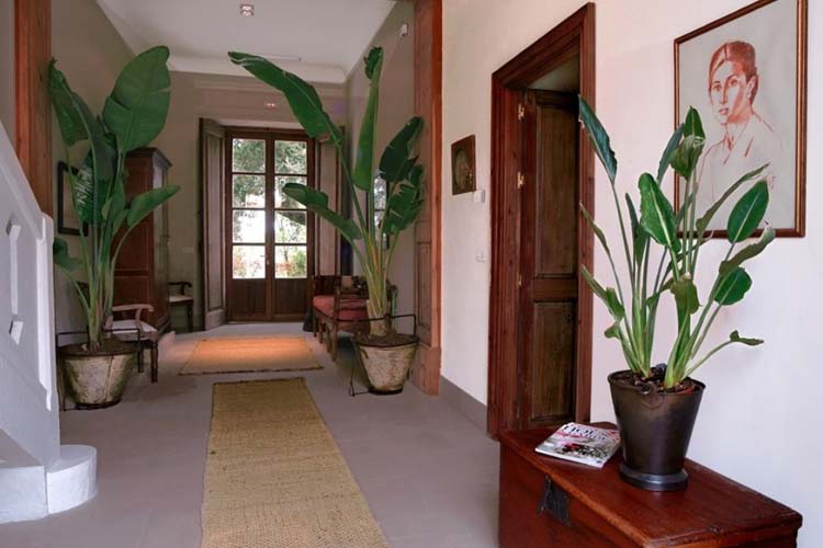 Corridor - Viña de Alcántara - Cádiz