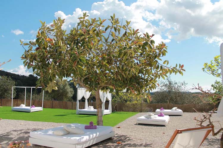 General View - Agroturismo Can Cosmi Prats - Santa Gertrudis de Fruitera