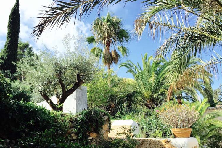 Garden - Los Jardines de Palerm - San José