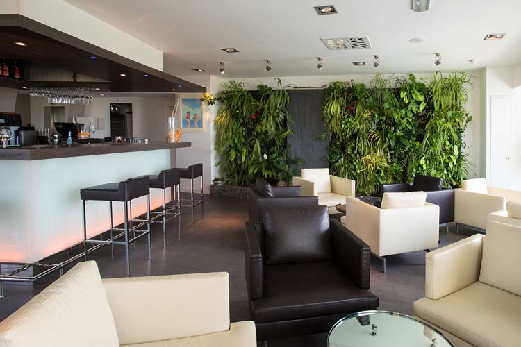 Bar - Le Grand Large - Dolus-d'Oléron