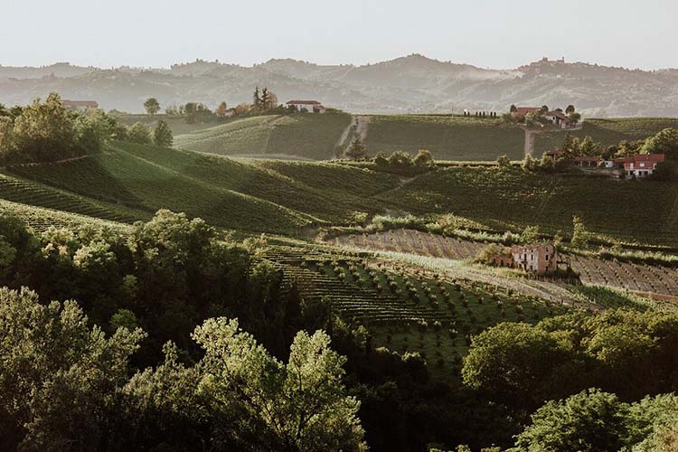 Surroundings - La Villa Hotel - Mombaruzzo