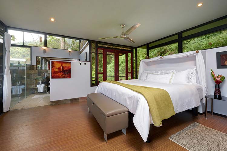 Treehouse Mono Congo - Rancho Pacífico - Uvita