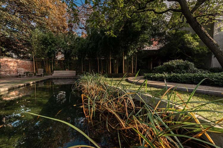 Garden - Guesthouse Cabosse - Anvers