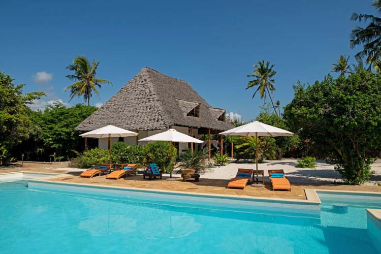 Pool - Tikitam Palms Boutique Hotel - Pongwe