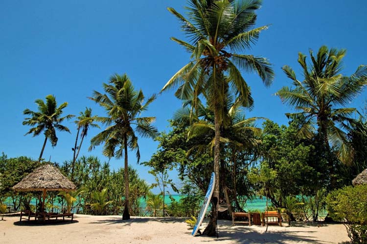 General View - Tikitam Palms Boutique Hotel - Pongwe