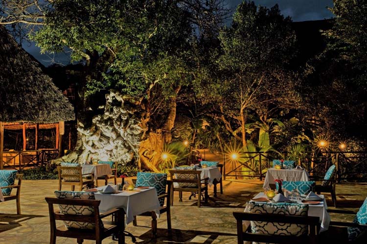 Terrace - Tikitam Palms Boutique Hotel - Pongwe