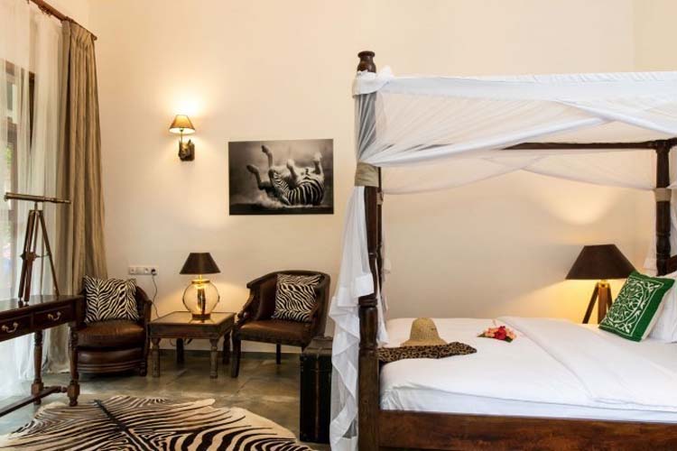 Safari Room - Tikitam Palms Boutique Hotel - Pongwe