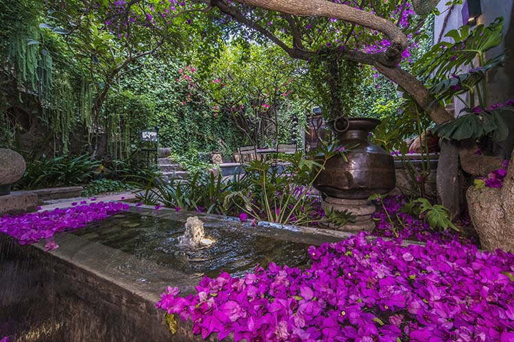 Garden - Casa No Name - San Miguel de Allende