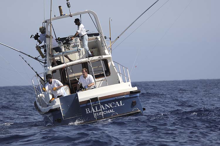 Activities - Casa Velha do Palheiro - Funchal