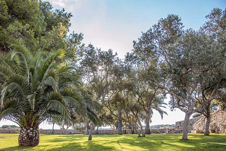 Garden - Antic Menorca - Alaior