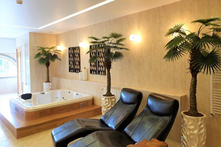 Spa - Quinta da Palmeira - Arganil
