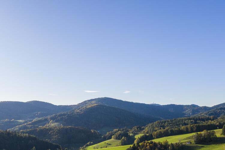 Surroundings - Gasthof Hotel Sennhütte - Kleines Wiesental