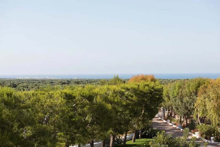 Views - Masseria San Giovanni - Fasano 