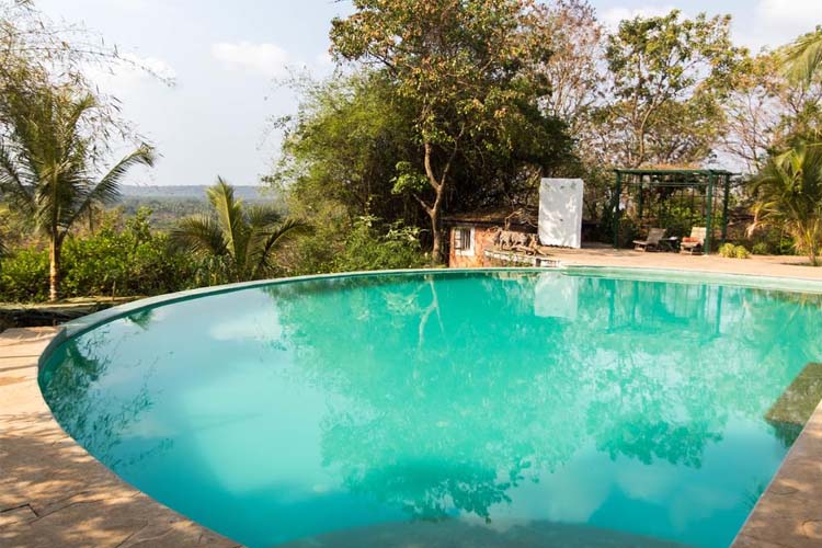 Pool - Wildflower Villas - Candolim