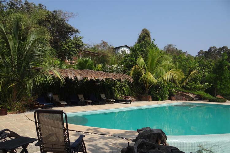 Pool - Wildflower Villas - Candolim