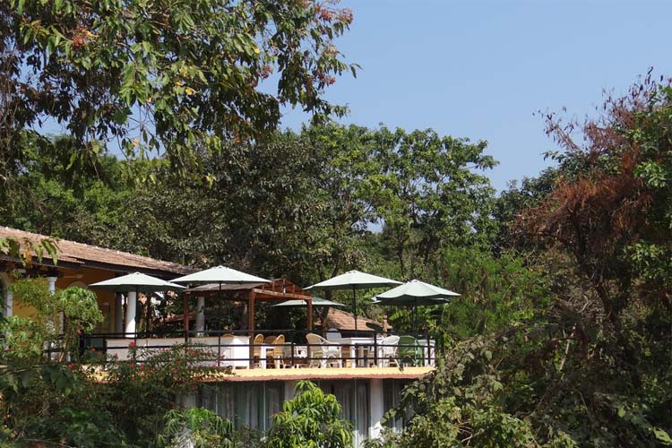 Terrace - Wildflower Villas - Candolim