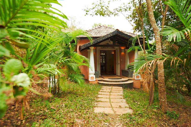 One-Bedroom Villa - Wildflower Villas - Candolim
