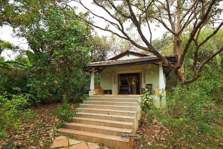 One-Bedroom Villa - Wildflower Villas - Candolim
