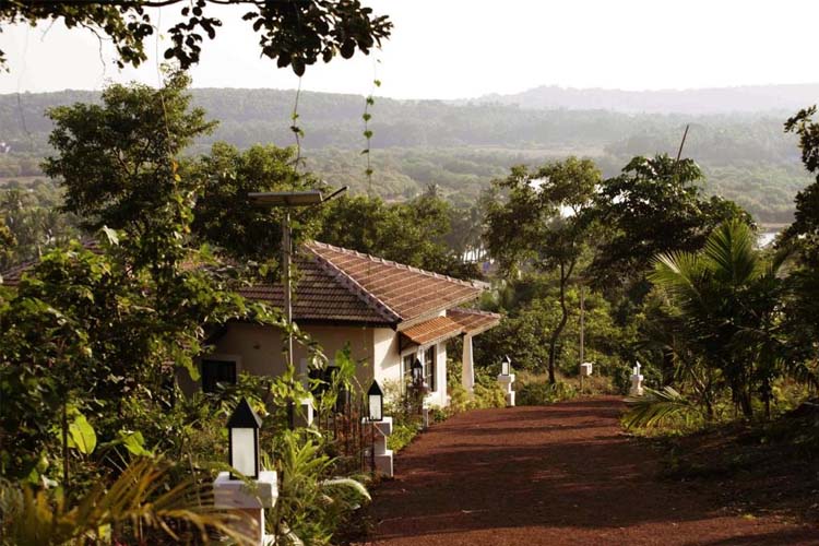 Two-Bedroom Villa - Wildflower Villas - Candolim